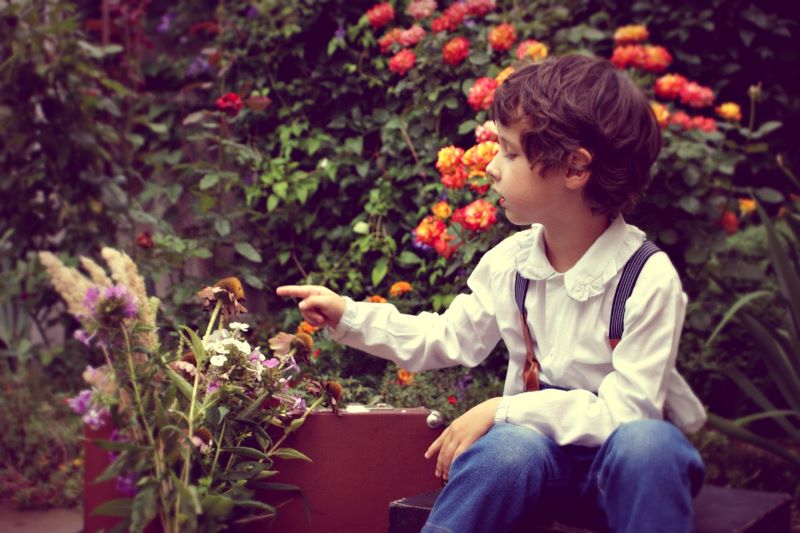 Beneficial tips about apartment gardening with kids