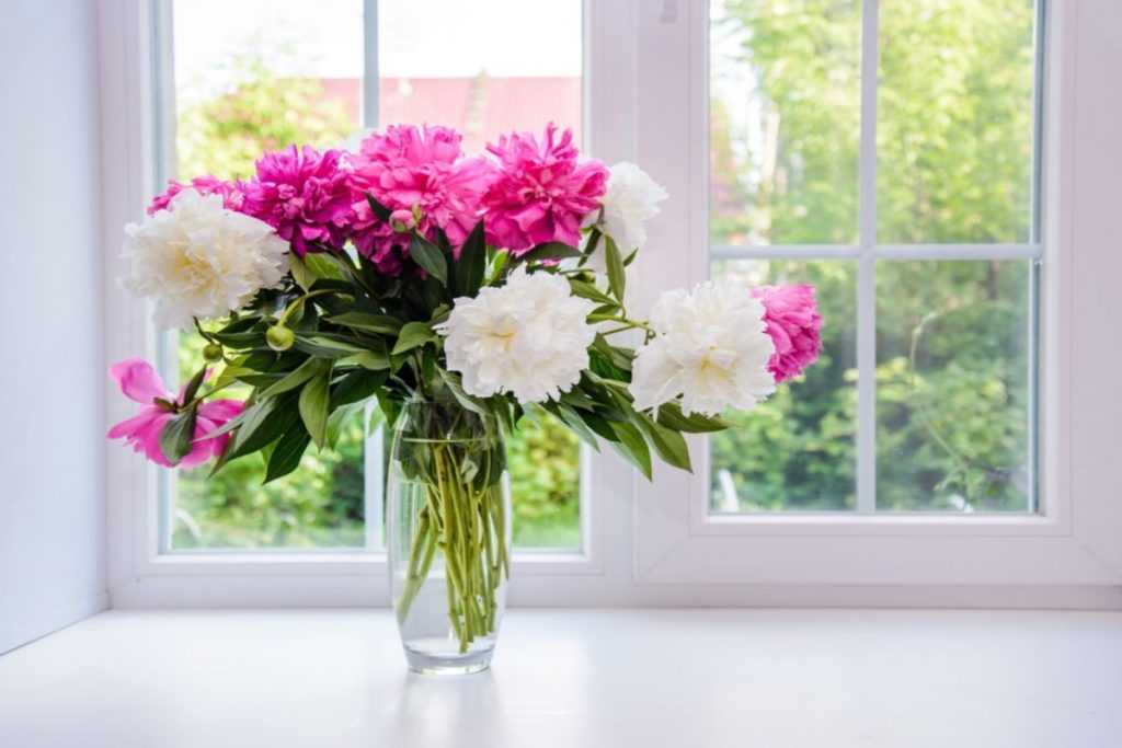 How To Lengthen The Life Of Freshly Cut Flowers
