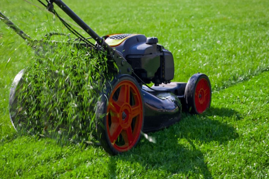 The Complete Lawn Care Guide