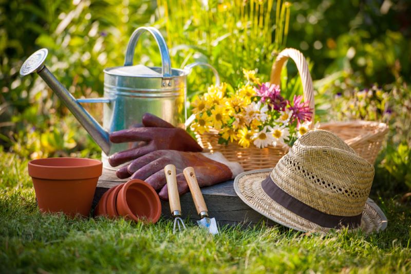 Updating Your Garden Ready for Summer