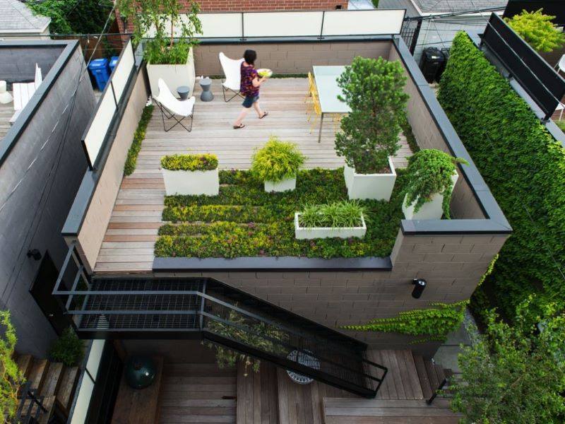 Essential Steps to a Beautiful Green Roof