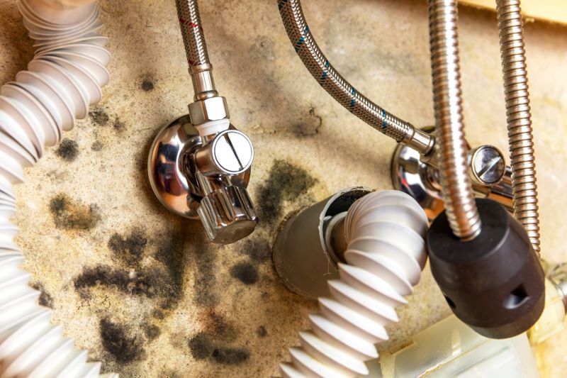How to Prevent Mold with Proper Plumbing