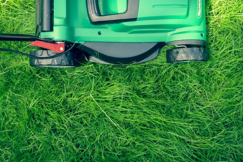 The Green Goddess 7 Summer Lawn Care Tips for a Lush Landscape