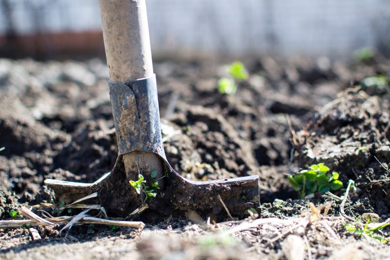 Gardening Tips for Homeowners