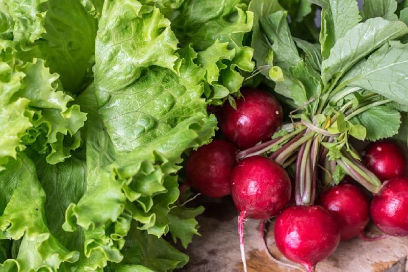 How to grow vegetables in your indoor garden