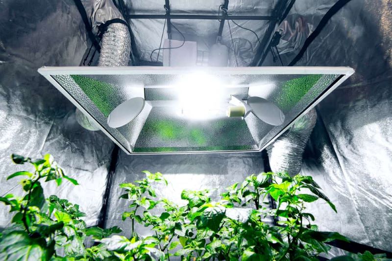 How to Shop for the Best Indoor Grow Tent in Canada