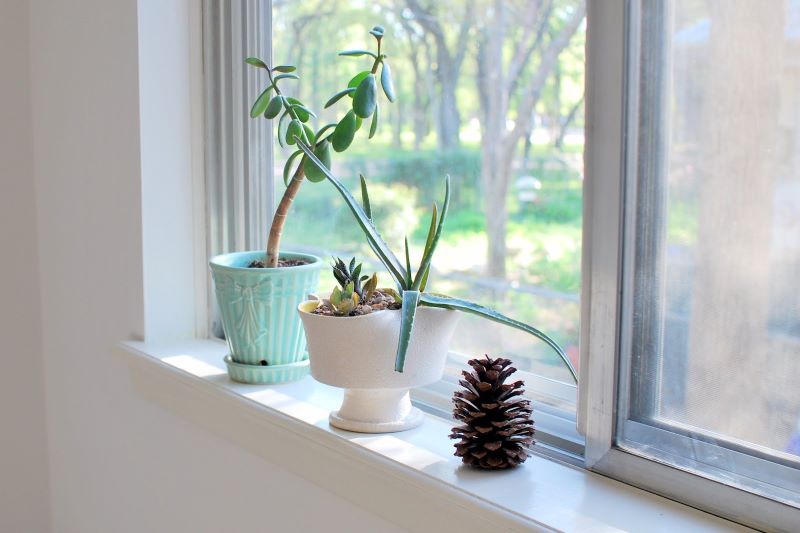 What You Should Know About Window Sills