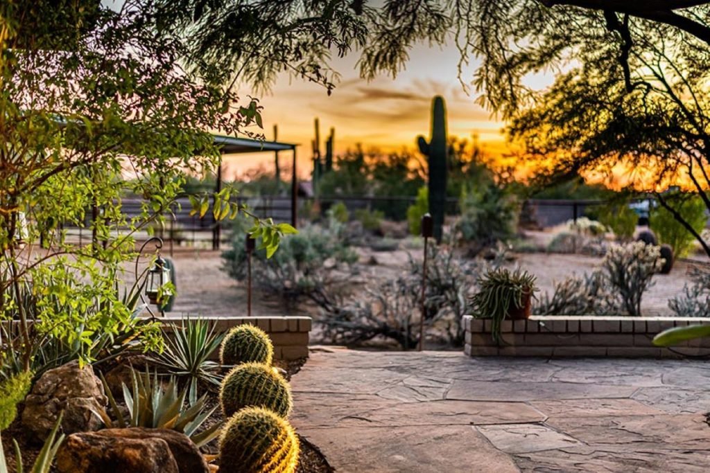9 Innovative Landscaping Designs for Desert Homeowners