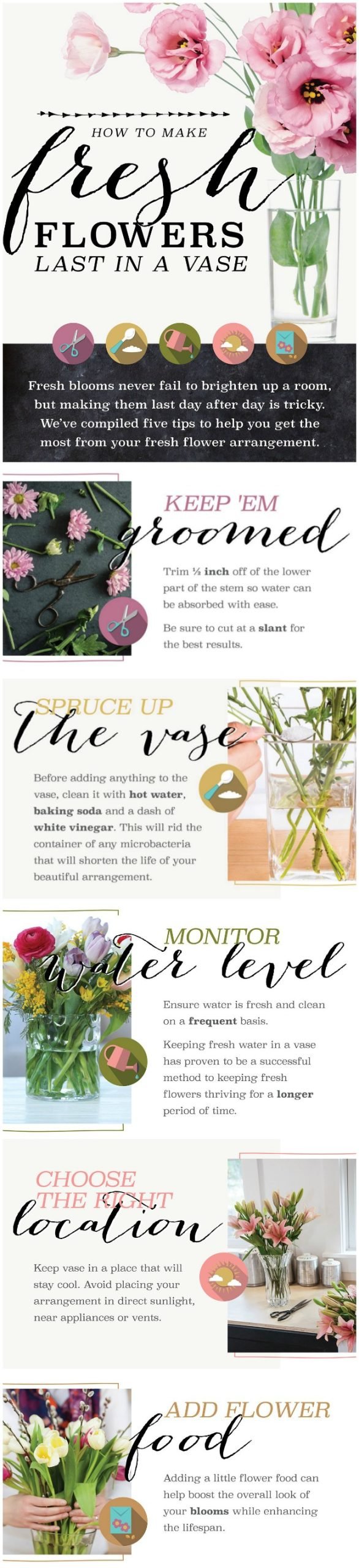 How to Make Cut Flowers Last Longer Infographic